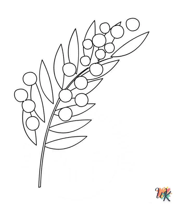 Mimosa 9 Disegni da Colorare Mimosa 7